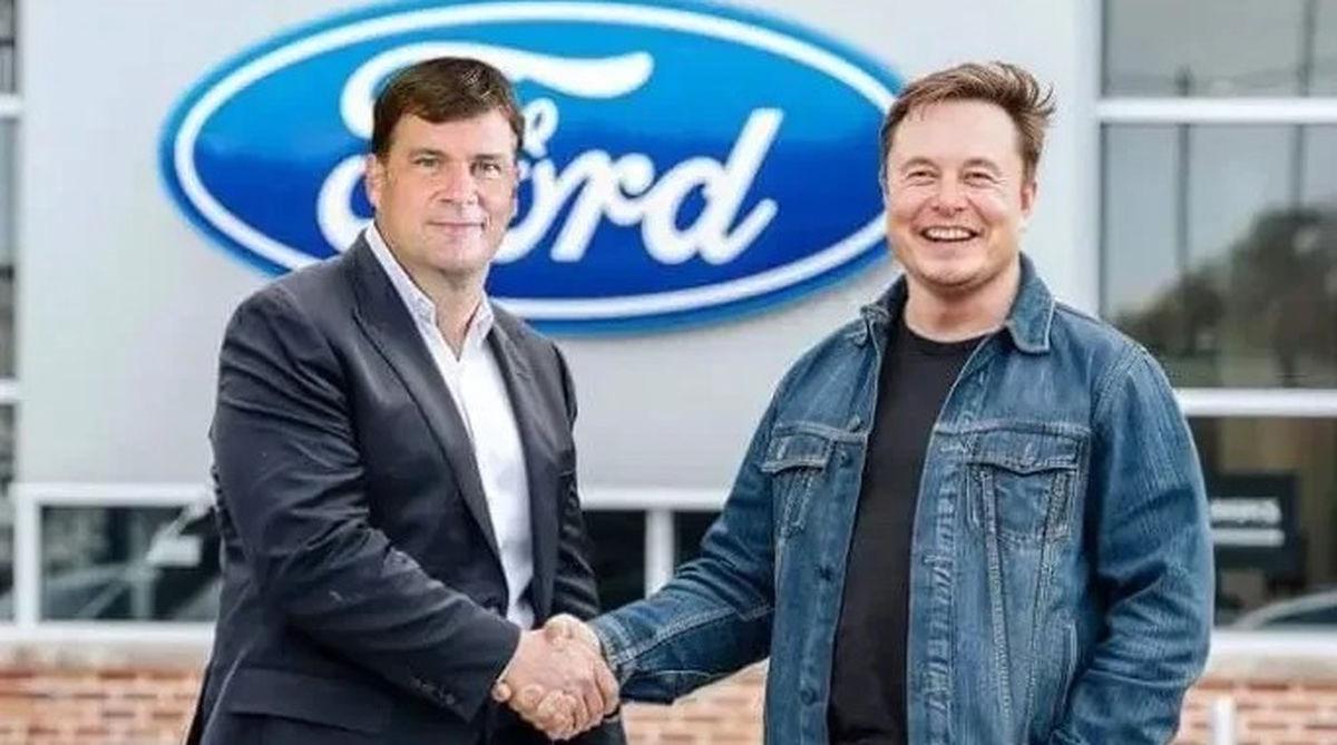 farley musk